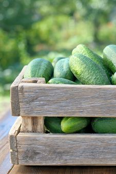 Cucumbers In A Box. Royalty Free Stock Photography Cucumbers In A Box. Royalty Free Stock Photography