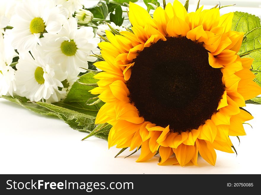 A bouquet of beautiful flowers on a white background