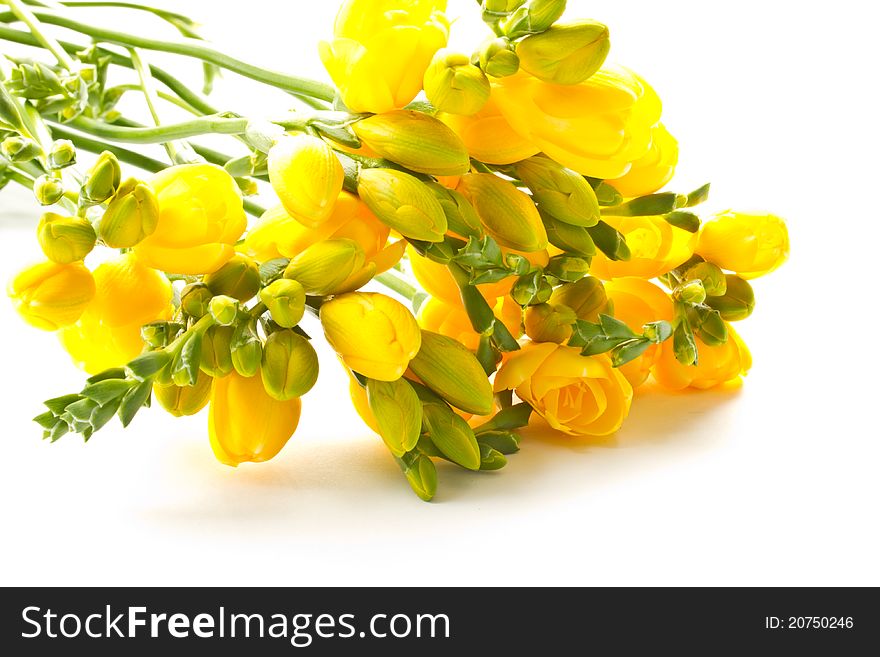 A bouquet of beautiful flowers on a white background. A bouquet of beautiful flowers on a white background