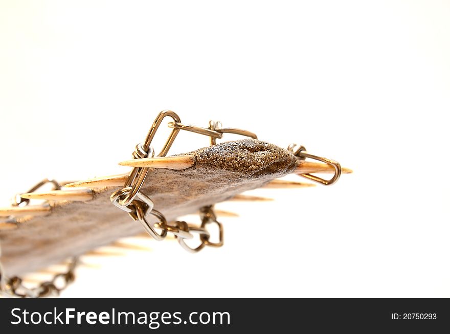 Saw fish front peace caught in wire on a whtie background. Saw fish front peace caught in wire on a whtie background