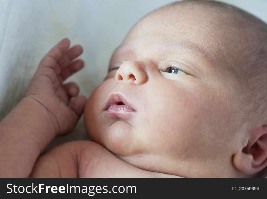 Newborn lying comfortable on white background watching away