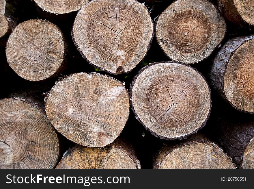 Closeup of pile of wood logs