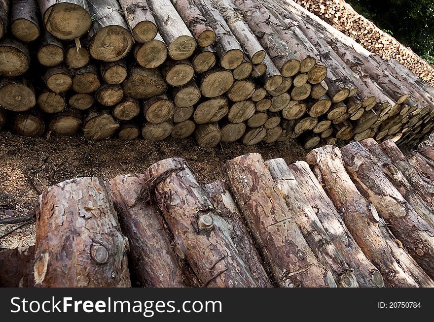 Stacks of the wooden logs