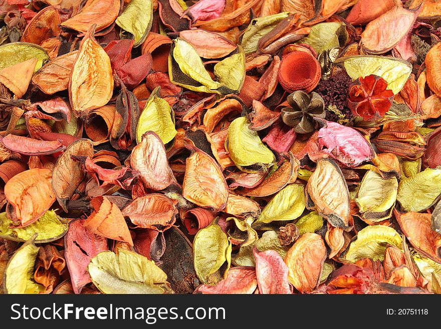 Fund of screen with autumnal motives realized with dry leaves of different hot colors