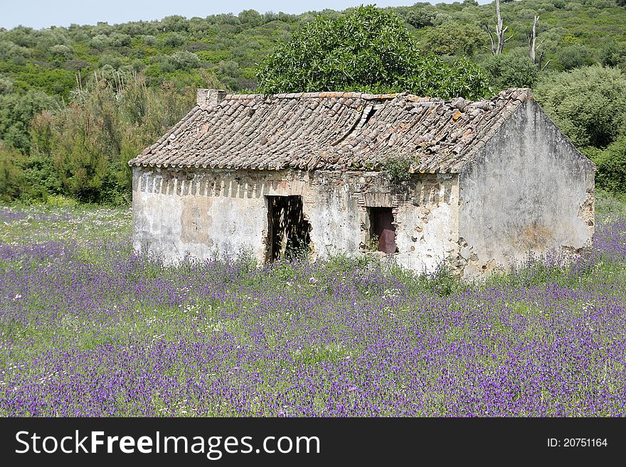 Andscapes of rural left houses realized in the fields of Andalusia