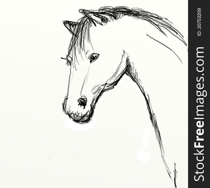 Hand Drawn Horse Head Sketch