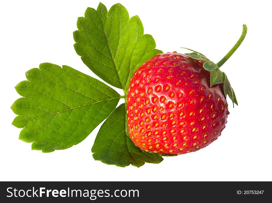 Strawberry with leaves isolated on white