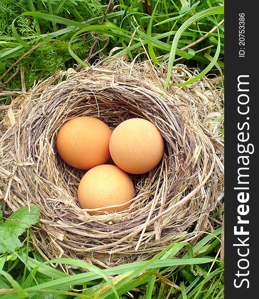 Easter eggs in the nest