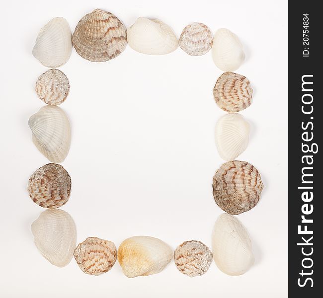 Square frame made from sea shells on white