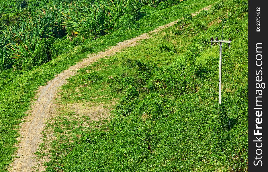 Country rural gravel road and grass