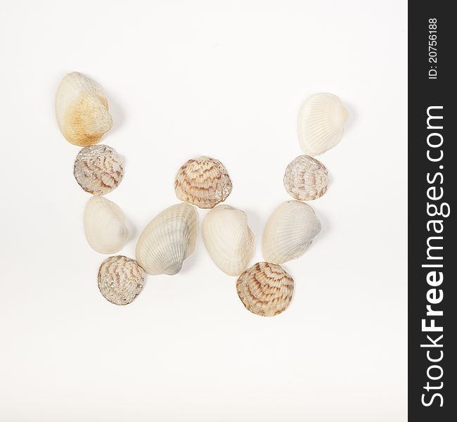 Alphabet letter W text made from sea shells isolated on a white background. Alphabet letter W text made from sea shells isolated on a white background