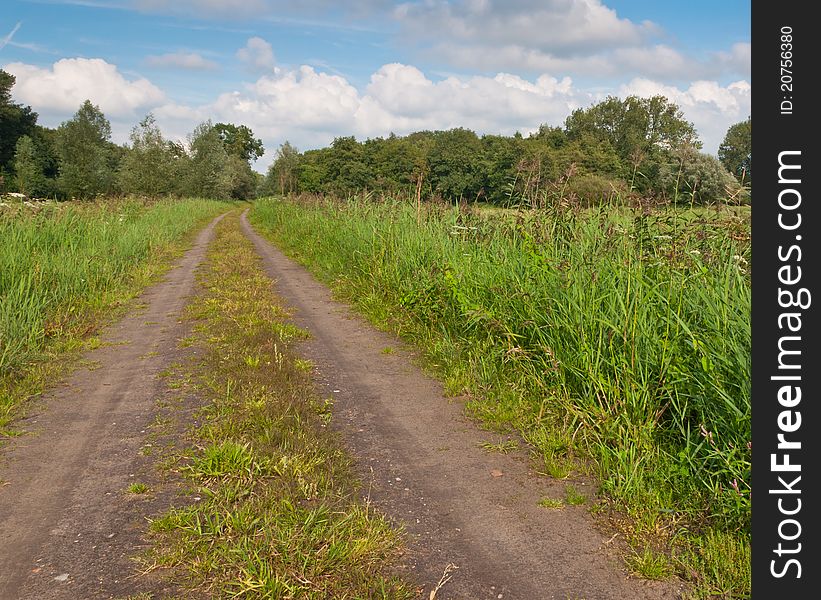 A long sandy road between the fields in the Netherlands