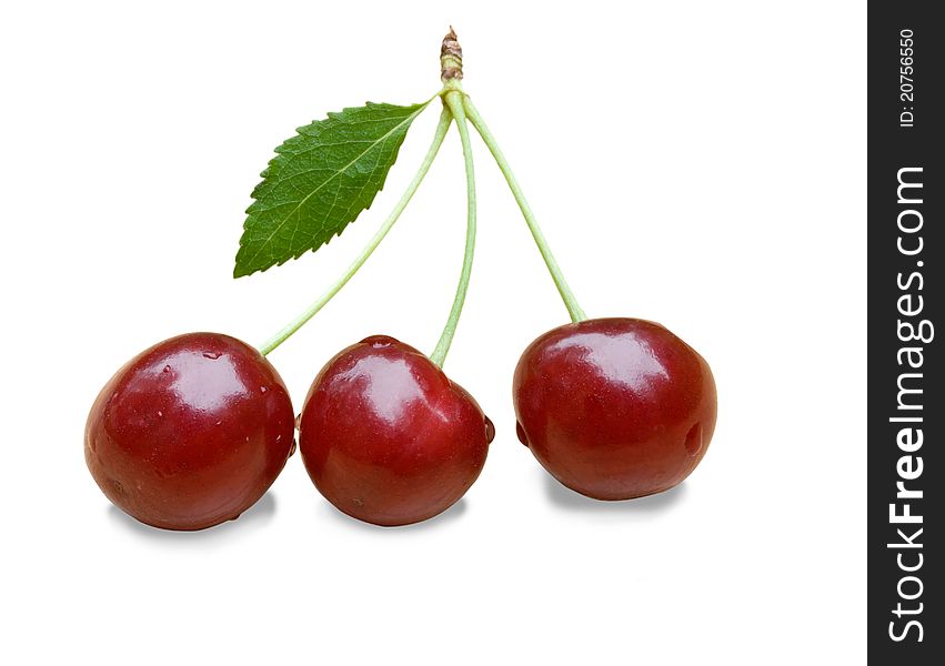 Three cherries isolated on a white background