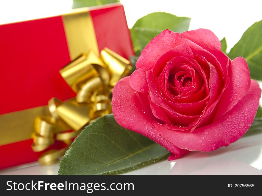 Beautiful red rose, a red gift box. Isolated on a white background. Beautiful red rose, a red gift box. Isolated on a white background