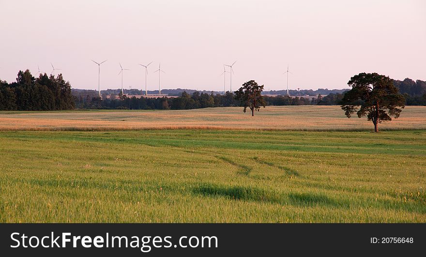 Rural Landscape With Wind Turbines