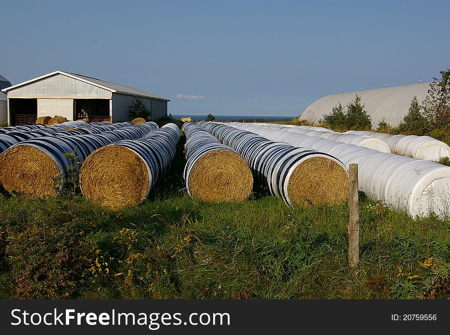 Hay bales in row 1