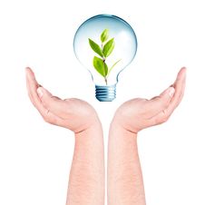 Plant Growing Inside The Light Bulb On Hands Royalty Free Stock Photography Plant Growing Inside The Light Bulb On Hands Royalty Free Stock Photography