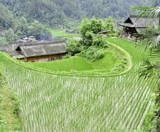 Rice Terrace Village Royalty Free Stock Photography Rice Terrace Village Royalty Free Stock Photography