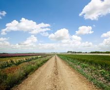 Road In Field Royalty Free Stock Photos Road In Field Royalty Free Stock Photos