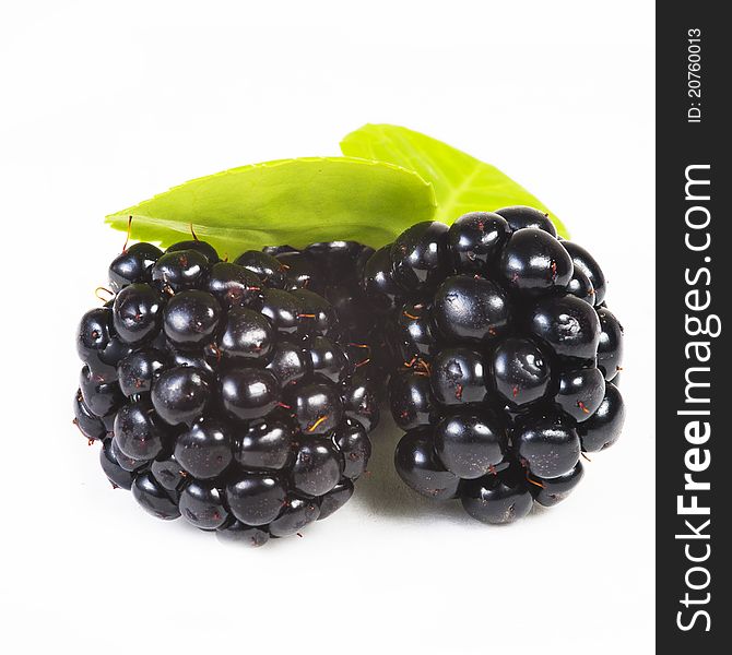 Close up view of blackberries on a white background with green leaf