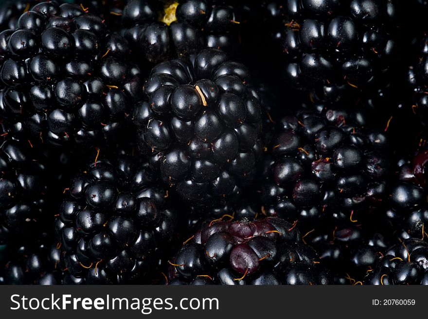 Close up view of many blackberries
