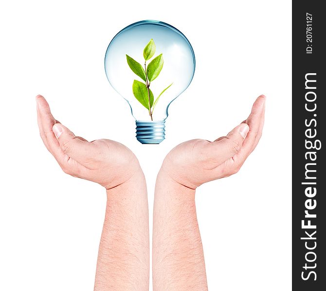 Green energy concept, plant growing inside the light bulb on hand. Green energy concept, plant growing inside the light bulb on hand