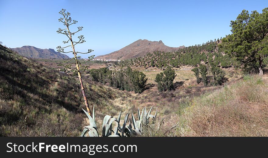 Landscape On Tenerife Island