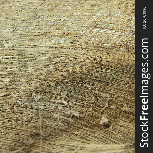 Coconut fiber textured background from coconut tree.