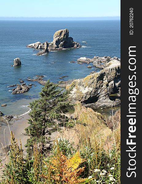 Ecola State Park, Oregon Coast & Pacific Ocean.