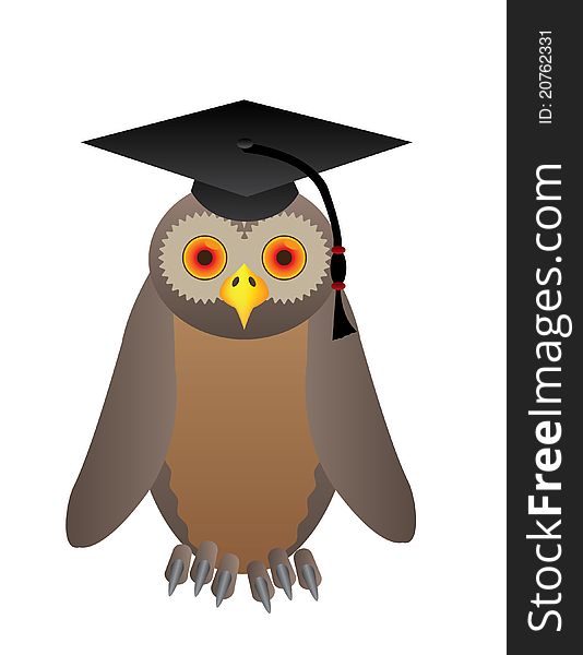 Owl With College Hat