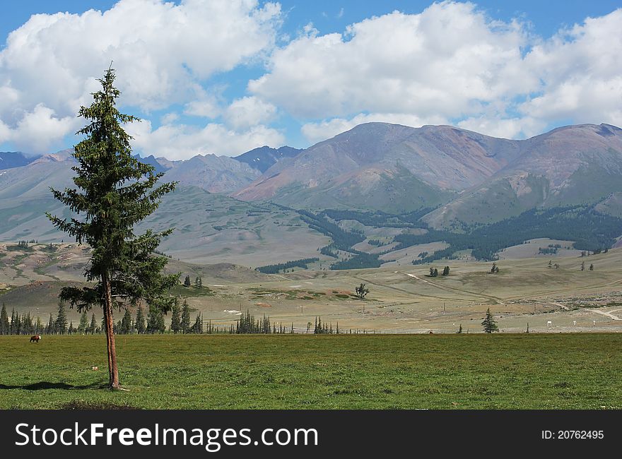 Summer mountain landscape with blue sky and clouds