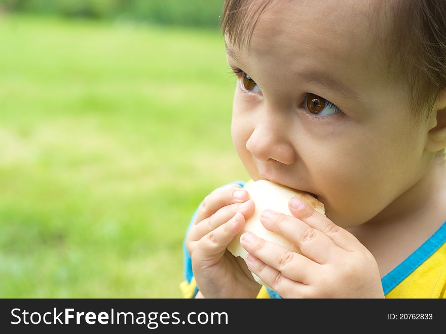 Cute little girl eating at the nature