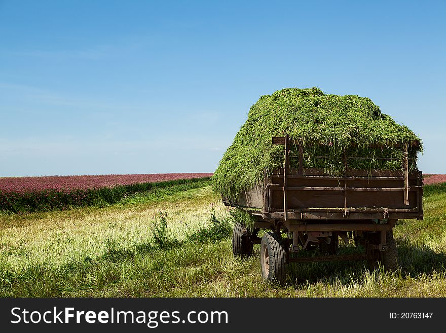 Trailer with a sloping grass field. haymaking