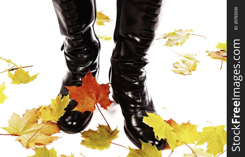 Girl standing on the leaves. Girl standing on the leaves