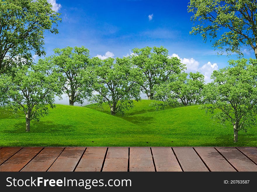 Terrace and tree in green meadow. Terrace and tree in green meadow