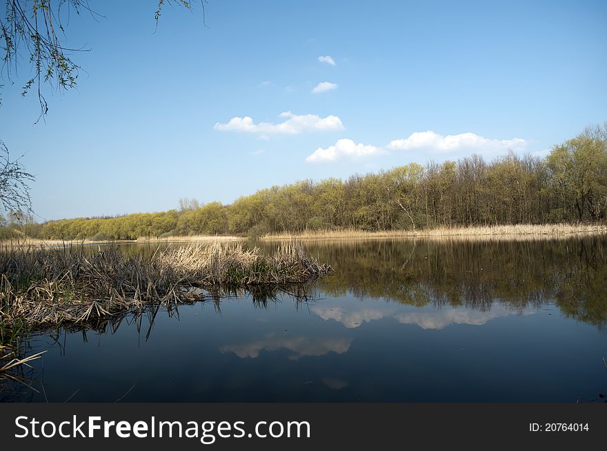 Clear water on the lake