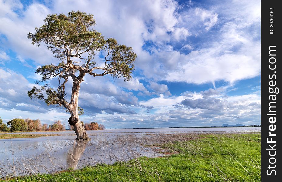 White clouds in blue sky over lake