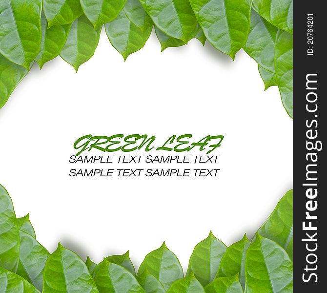 Framing of green leaves with area for text