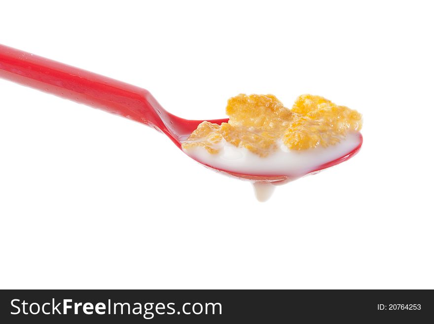 Cereal in red spoon with milk, healthy breakfast food