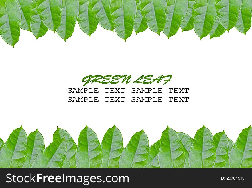 Framing of green leaves with area for text