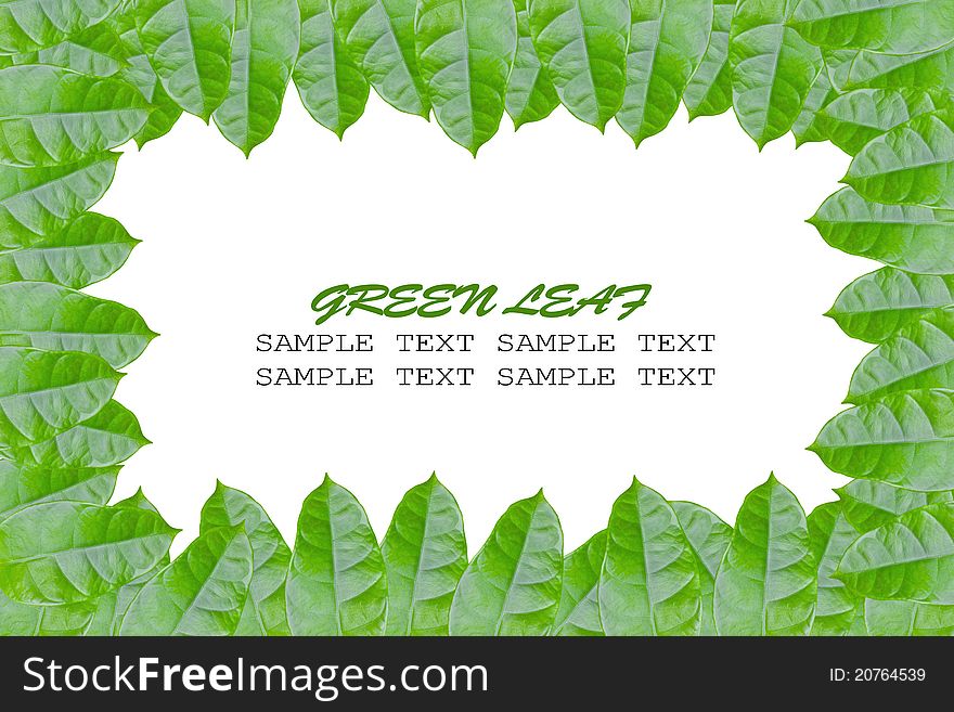 Framing of green leaves with area for text