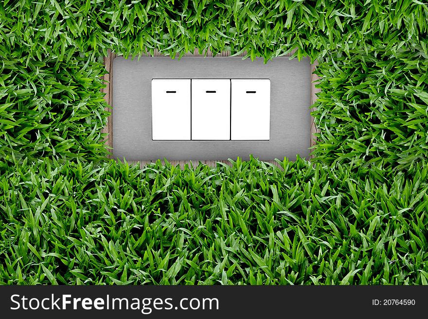 Switch button in green grass. Switch button in green grass