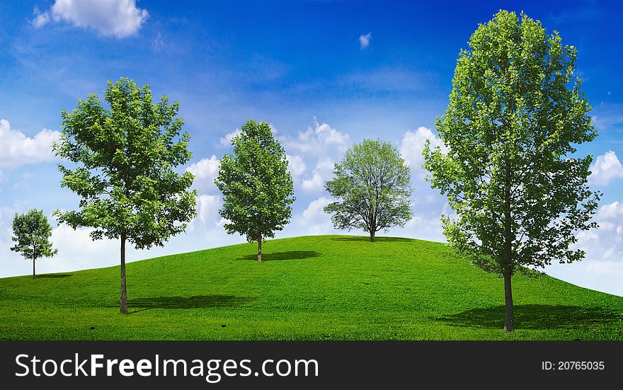 Abstract tree in green meadow