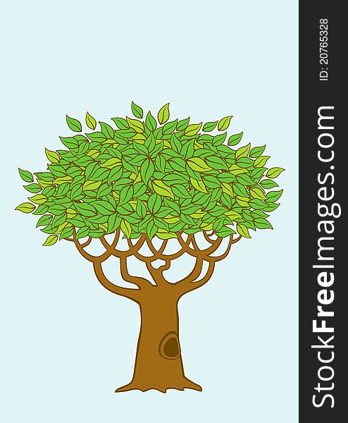 Illustration of a tree with green foliage. Illustration of a tree with green foliage