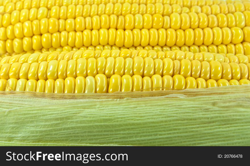 Close up of some fresh sweet corn in a market.