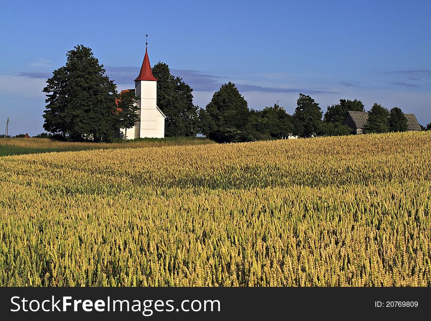 Old White Church In Field.