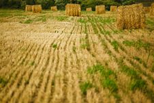 Straw Haystacks On The Field Stock Photos Straw Haystacks On The Field Stock Photos
