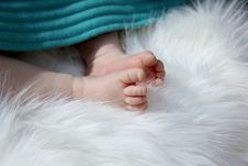 Newborn Baby Feet Royalty Free Stock Images Newborn Baby Feet Royalty Free Stock Images