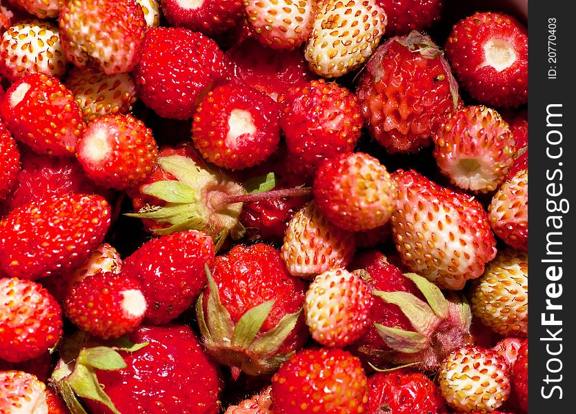 Macro view of a heap of fresh strawberries