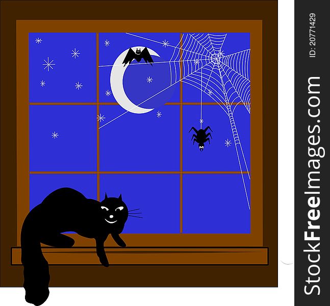 Cat sitting in window sill with spider and bat outside on dark night. Cat sitting in window sill with spider and bat outside on dark night